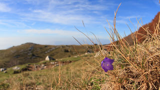Đir do Zavižana, sjeverni Velebit, foto: Leo Banić