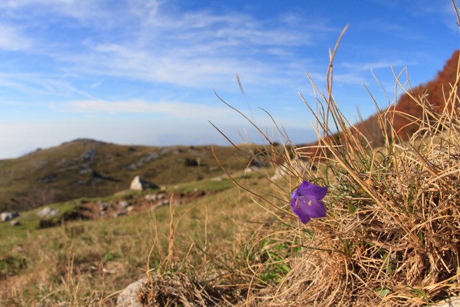 Đir do Zavižana, sjeverni Velebit, foto: Leo Banić