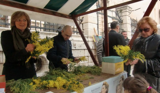 Dan mimoze, Branko Dukić i Ljiljana Balorda
