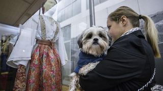 Kulturne šapice Kulturne šapice