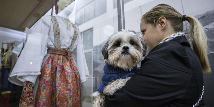 Kulturne šapice Kulturne šapice