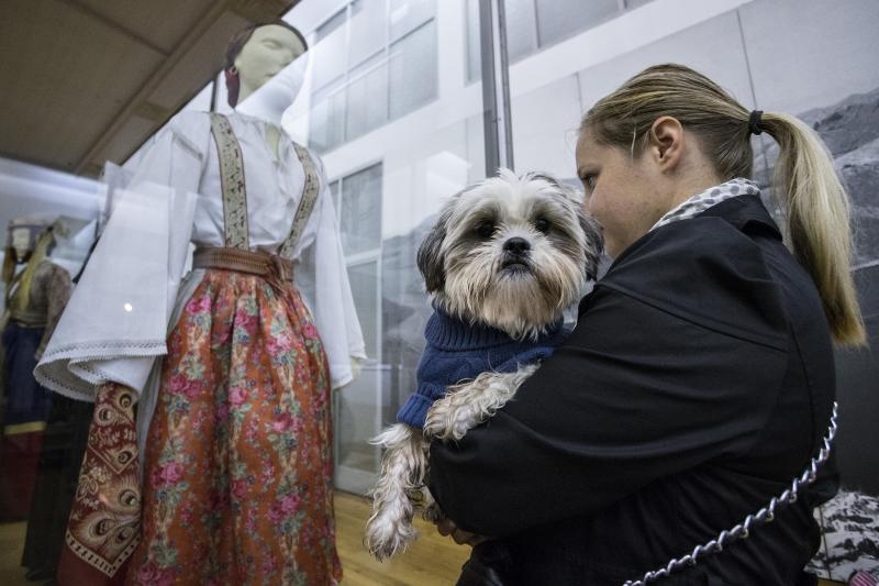 Kulturne šapice Kulturne šapice