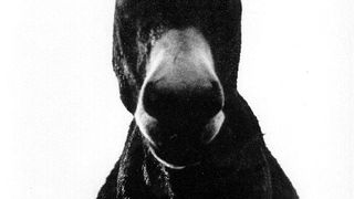 Braća Brkan: Slike sna i svjetlosti Braća Brkan: Slike sna i svjetlosti