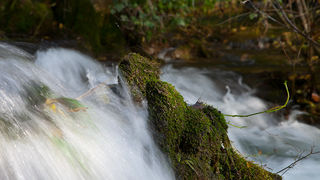 Izlet u NP Krka: Skradin, Skradinski buk, Visovac, foto: Darko Belančić