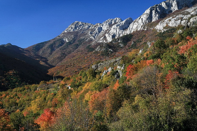 Paklenica: Boje jeseni, Foto: Mladen Radolovic Mrlja
