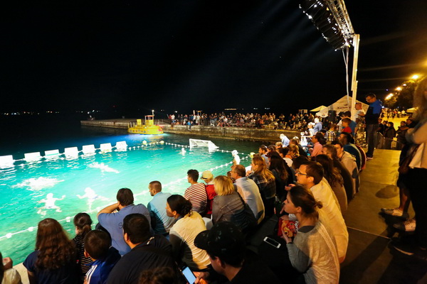 VAK”AN”ZA 31%, finale: Reptili – Nesvrstani 2-4 VAK”AN”ZA 31%, finale: Reptili – Nesvrstani 2-4