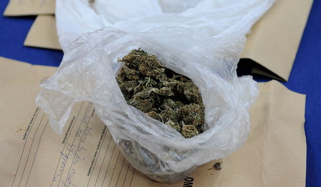 Gospic, 220513.
U PU licko-senjskoj predstavljeni su rezultati akcije zapljene droge na podrucju Gospica i Senja u kojima je uhiceno ukupno 11 osoba, a terete se za preprodaju marihuane i amfetamina.
Na fotografiji: Opojna droga Marihuana.
Foto: Robert Fa