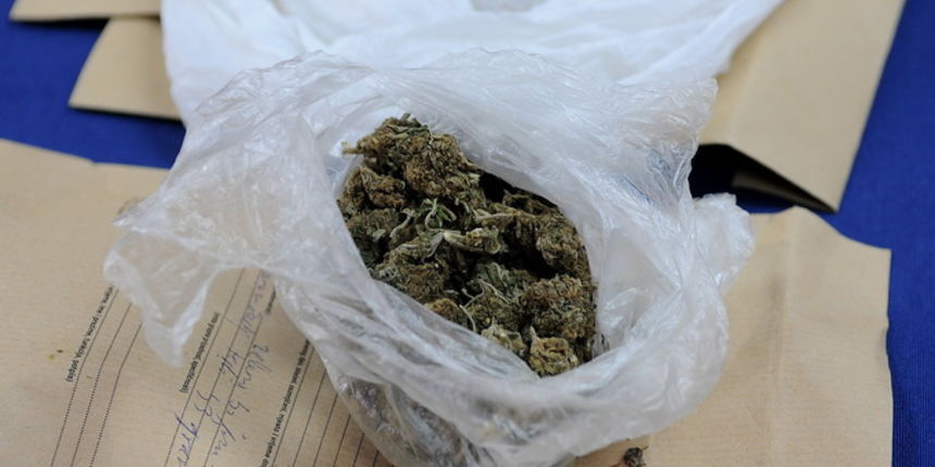 Gospic, 220513.
U PU licko-senjskoj predstavljeni su rezultati akcije zapljene droge na podrucju Gospica i Senja u kojima je uhiceno ukupno 11 osoba, a terete se za preprodaju marihuane i amfetamina.
Na fotografiji: Opojna droga Marihuana.
Foto: Robert Fa