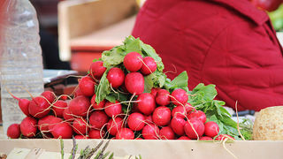 Đir po pijaci, 17. travnja 2012. (foto:Saša Čuka)