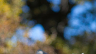 Izlet u Libinje, foto: Darko Belančić