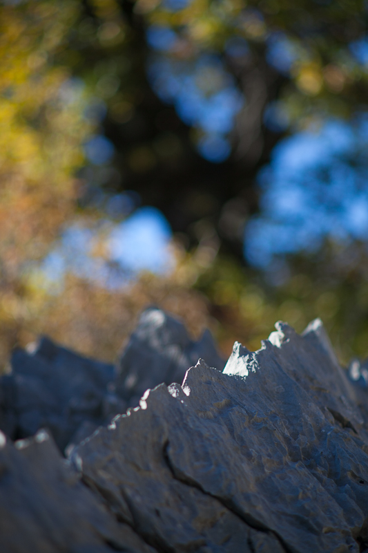 Izlet u Libinje, foto: Darko Belančić