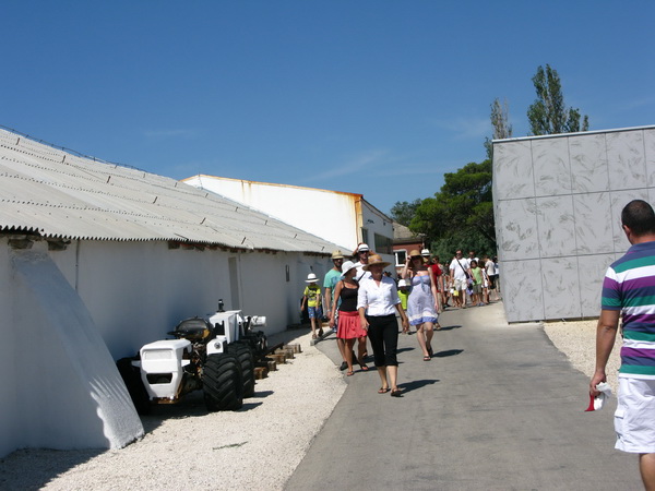 Nin: Prvi rođendan Muzeja soli