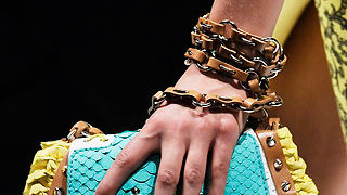 Torbice za proljeće 2010.