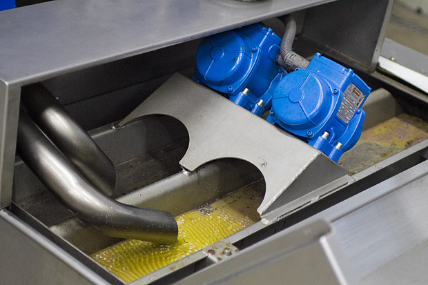 Večer u uljari, Foto: Leo Banić