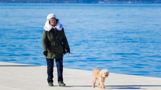 Image 380493 (auto) Image 380493 (auto)