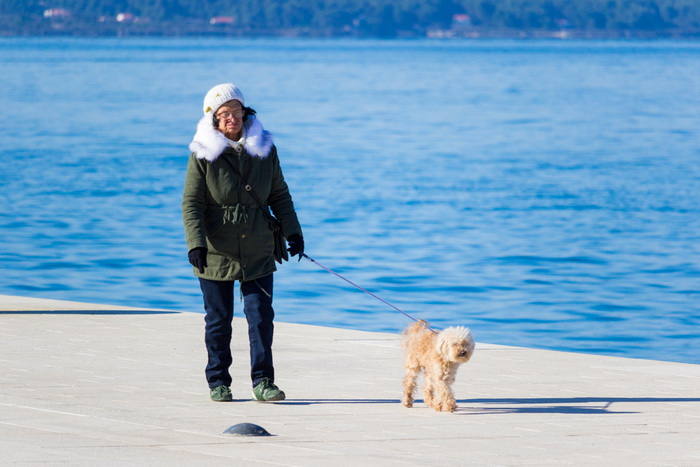 Image 380493 (auto) Image 380493 (auto)