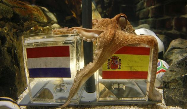 Hobotnica Paul, Foto: Reuters