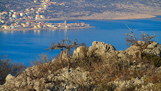 Izlet u Libinje 6. travnja 2011, Foto: Leo Banic