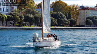 Zadarska koka 2017. Zadarska koka 2017.