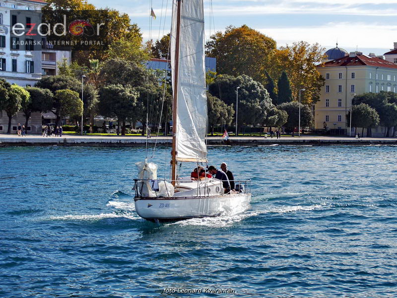 Zadarska koka 2017. Zadarska koka 2017.