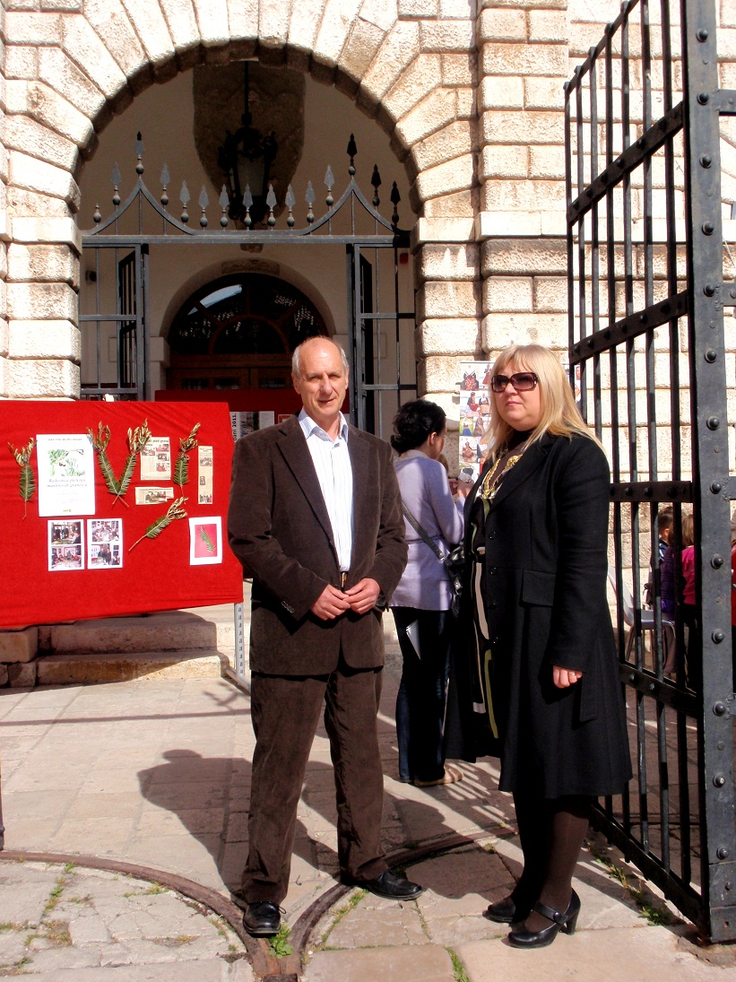 Radionica pletenja maslinovih grančica, foto: Karla Šorić Radionica pletenja maslinovih grančica, foto: Karla Šorić