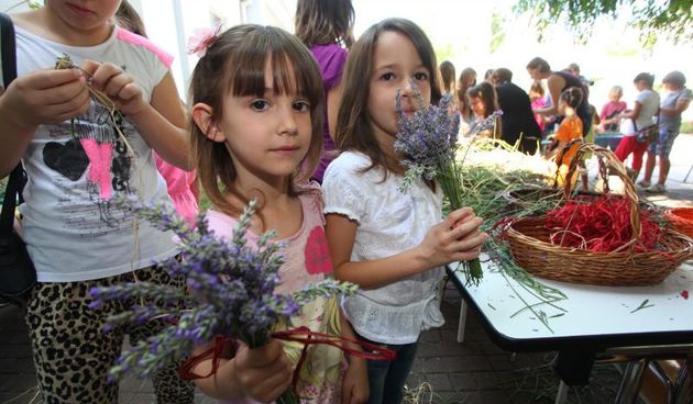 03.07.2013., Zadar – Na djecjem odjelu u dvoristu Gradske knjiznice Zadar djeca izradjuju strucke i jastucice od lavande. Radionicu vodi gospodja Jadranka Plantak. Photo: Zeljko Mrsic/PIXSELL