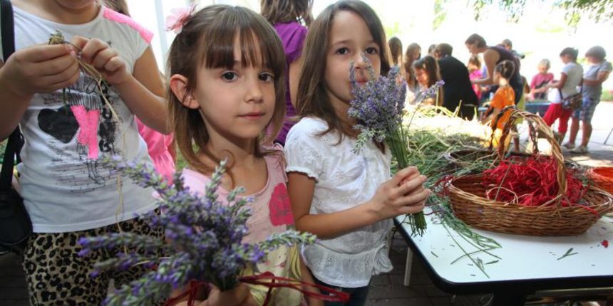 03.07.2013., Zadar – Na djecjem odjelu u dvoristu Gradske knjiznice Zadar djeca izradjuju strucke i jastucice od lavande. Radionicu vodi gospodja Jadranka Plantak. Photo: Zeljko Mrsic/PIXSELL