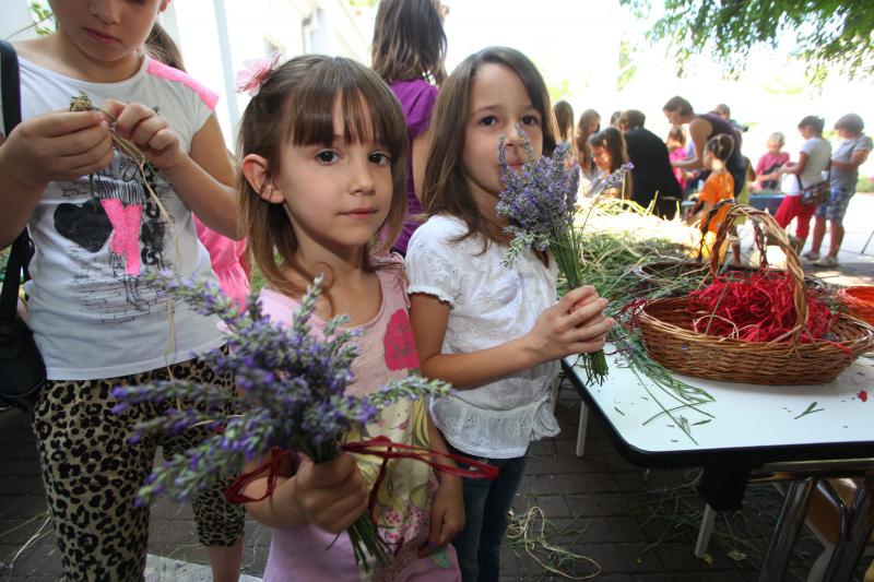 03.07.2013., Zadar – Na djecjem odjelu u dvoristu Gradske knjiznice Zadar djeca izradjuju strucke i jastucice od lavande. Radionicu vodi gospodja Jadranka Plantak. Photo: Zeljko Mrsic/PIXSELL 03.07.2013., Zadar – Na djecjem odjelu u dvoristu Gradske knjiznice Zadar djeca izradjuju strucke i jastucice od lavande. Radionicu vodi gospodja Jadranka Plantak. Photo: Zeljko Mrsic/PIXSELL