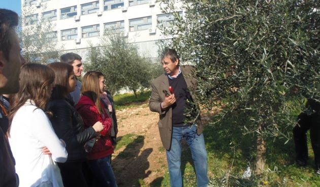 Rezidba malina, foto:Promo