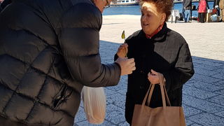 Dan žena, Bleke i konji