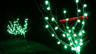 Cazma, 060412.
Obitelj Salaj iz Grabovnice kraj Cazme po prvi je put po uzoru na bozicni ugodjaj priredila i “Uskrsnu pricu”. Za tu su priliku imanje ukrasili s 2700 pisanica, zeceva, pilica i pijetlova koji svijetle po noci i ostavljaju posjetioce bez da