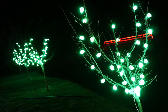 Cazma, 060412.
Obitelj Salaj iz Grabovnice kraj Cazme po prvi je put po uzoru na bozicni ugodjaj priredila i “Uskrsnu pricu”. Za tu su priliku imanje ukrasili s 2700 pisanica, zeceva, pilica i pijetlova koji svijetle po noci i ostavljaju posjetioce bez da