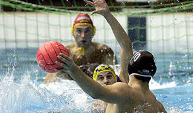 Image 1205395 (auto)