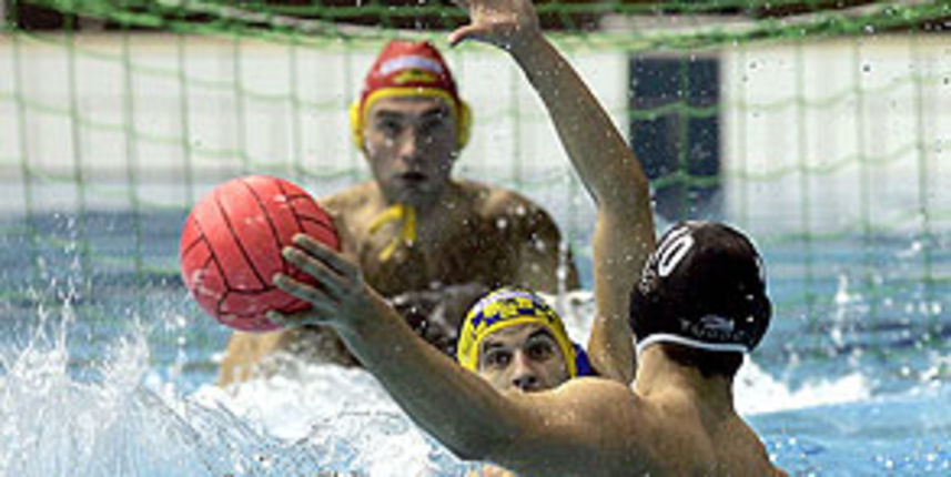 Image 1205395 (auto)