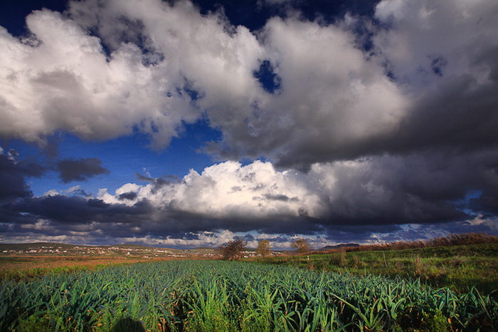 Vrana: Maskovica han, Foto: Leo Banic Vrana: Maskovica han, Foto: Leo Banic