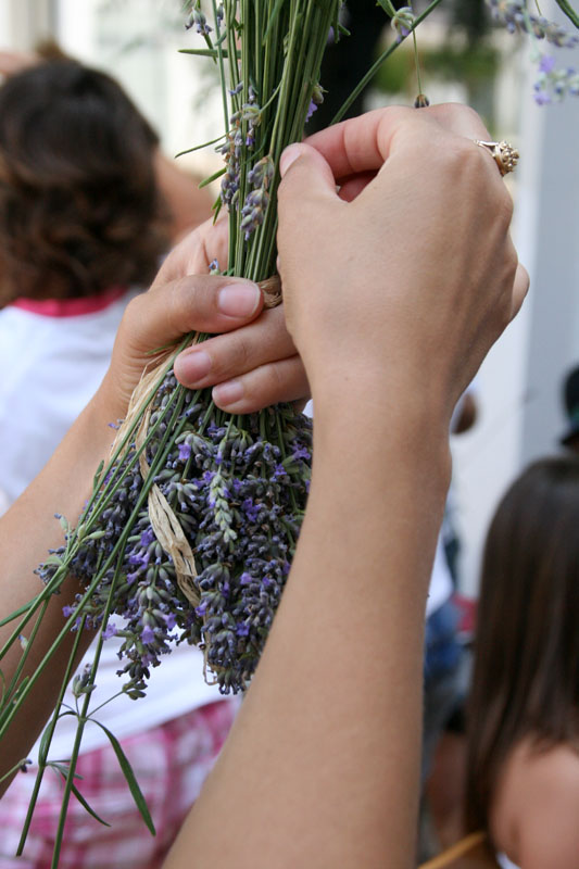 GKZD: Dječja radionica izrade stručaka i jastučića od lavande, Foto: Lucija Juravić