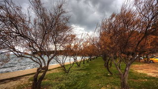 Jugo na Punti Bajlo 17. siječnja 2014.  Foto: Roberto Lerga