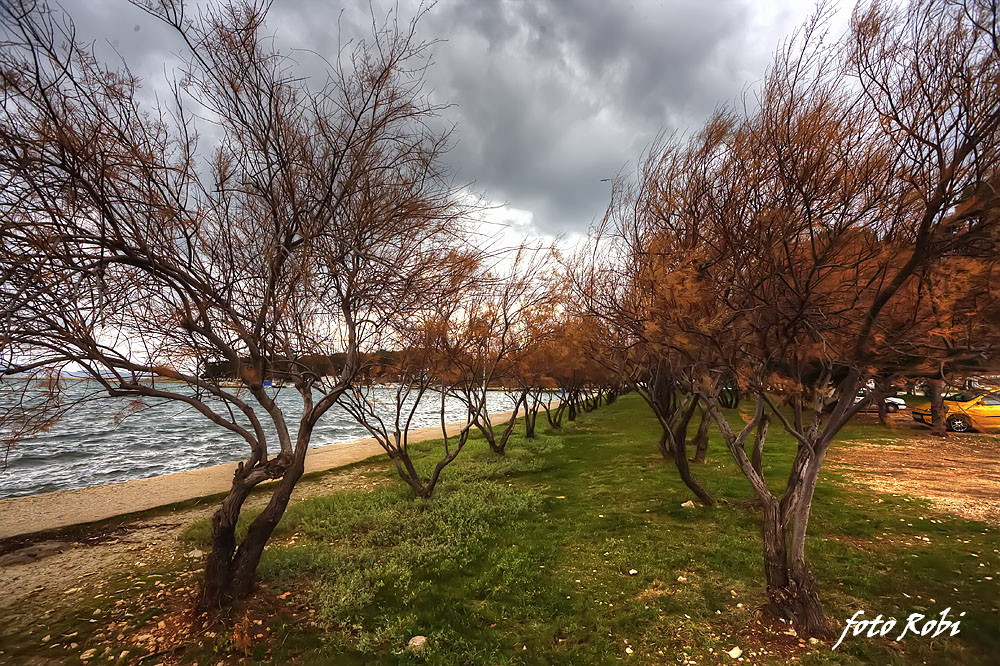 Jugo na Punti Bajlo 17. siječnja 2014.  Foto: Roberto Lerga