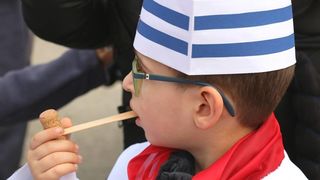 Virski Karnevalić 2017.