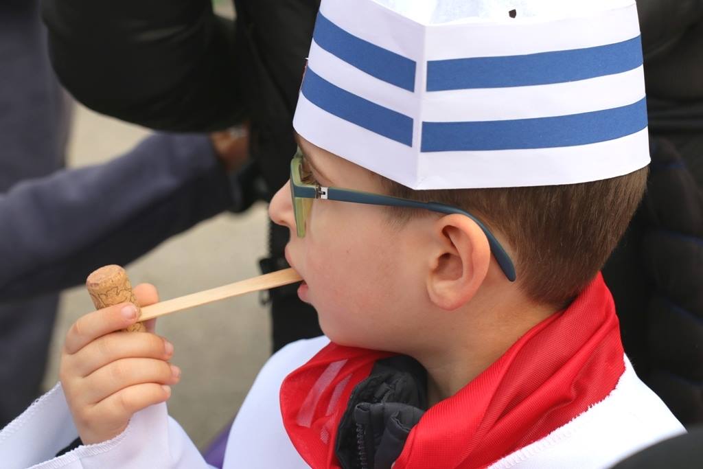 Virski Karnevalić 2017.