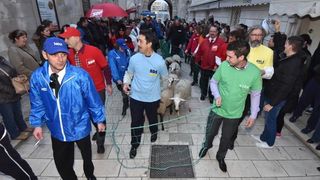 Poznata zadarska skupina Bleke i Konji na karnevalskoj povorci pojavila se sa stadom ovaca koje su doveli na sredisnji gradski trg. Clanovi skupine bili su obuceni u majice hrvatskih politickih stranaka koje su medjusobno izmjenjivali uz domoljubne pjesme