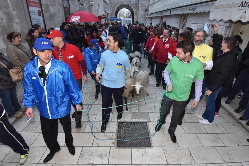 Poznata zadarska skupina Bleke i Konji na karnevalskoj povorci pojavila se sa stadom ovaca koje su doveli na sredisnji gradski trg. Clanovi skupine bili su obuceni u majice hrvatskih politickih stranaka koje su medjusobno izmjenjivali uz domoljubne pjesme