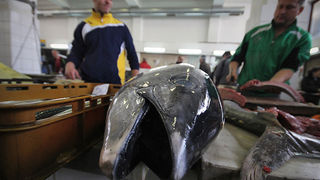 Đir po pešakariji 6. travnja 2012. (foto:Saša Čuka) Đir po pešakariji 6. travnja 2012. (foto:Saša Čuka)