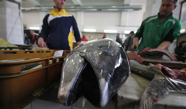 Đir po pešakariji 6. travnja 2012. (foto:Saša Čuka)