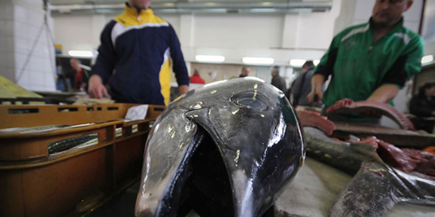 Đir po pešakariji 6. travnja 2012. (foto:Saša Čuka)