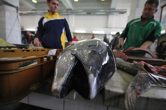 Đir po pešakariji 6. travnja 2012. (foto:Saša Čuka) Đir po pešakariji 6. travnja 2012. (foto:Saša Čuka)