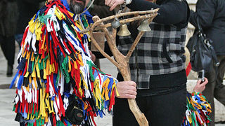 Povorka karnevalske skupine “Sovinjski pusti”