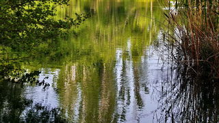 Prvosvibanjski izlet na Skradinski Buk