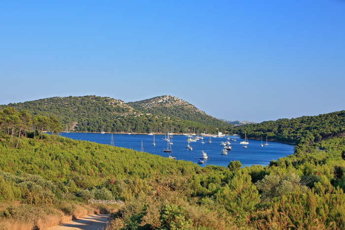 Dugi otok, 260609.
Dugi otok je jedva 1,5 sat udaljen od Zadra, jedan je od skrivenih Jadransih bisera. Sa raznolikom prirodom i plazama, cistim morem, on je namjenjen gostima koji vise cijene prirodu od zabave.
Na slici: Park prirode Telascica.
Foto: Zvo