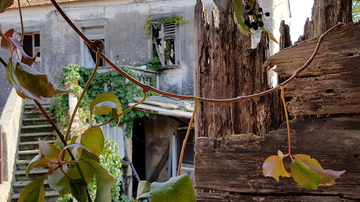 Boje zadarske jeseni. Foto: Mladen Malik